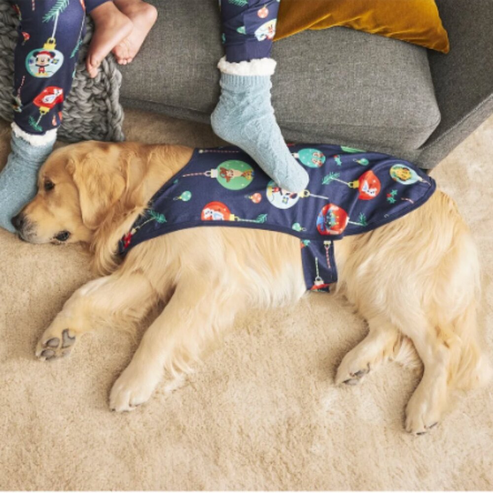 Disney 100 One-Piece Matching Holiday Family Pajamas for Pet Dog, Size L NEW
